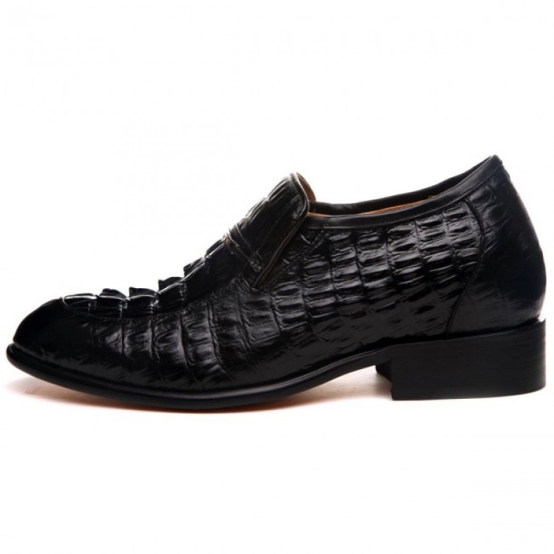 NY - Elevator Sneakers in Crocodile Leather from 2.4 to 4 inches